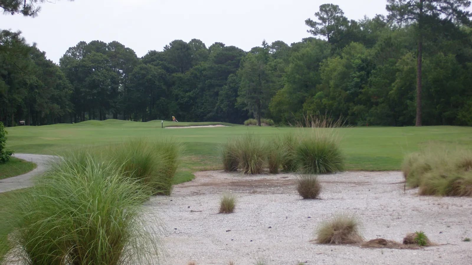 A Sandhills-style hole with a sandy waste area and fescue tufts in the foreground and a pine forest behind the green.