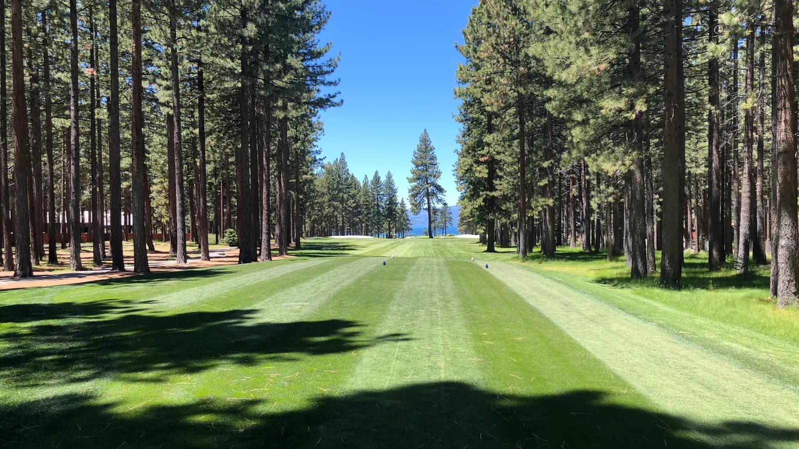 A pine-lined fairway opening to a distant alpine lake and mountains under a clear sky.
